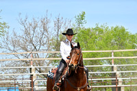 006_Novice Working Ranch Horse