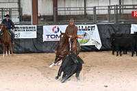 013_5k Novicehorse