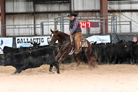008_25k Novice Horse